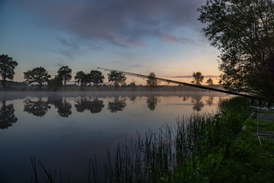 Carrouge - Social Carp Fishing Holidays - photo 15
