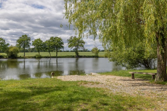 Carrouge - Social Carp Fishing Holidays - photo 2