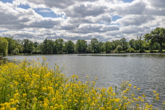 Carrouge - Social Carp Fishing Holidays - photo 10