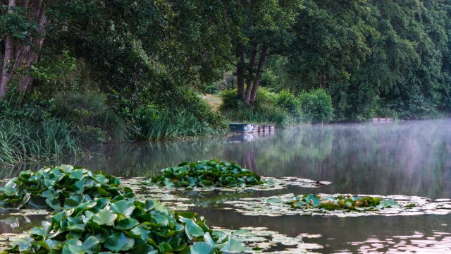 MDP Lake - Small Exclusive Carp Lake France - photo 10