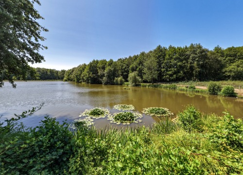 MDP Lake - Small Exclusive Carp Lake France - photo 4