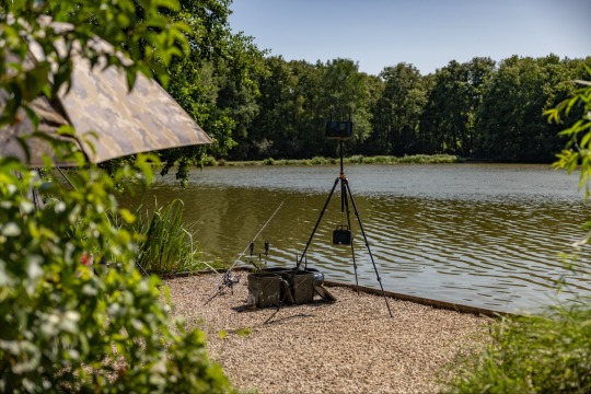 MDP Lake - Small Exclusive Carp Lake France - photo 9