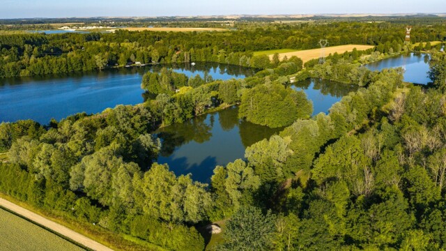 Zentelles - Carp Lake in France - photo 14