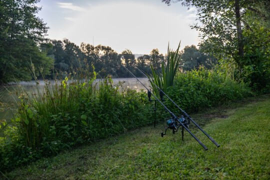 Zentelles - Carp Lake in France - photo 4