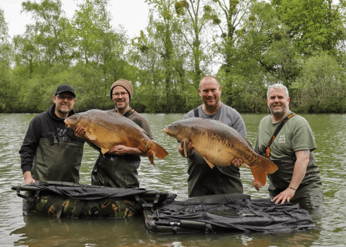 Old Oaks - Carp France - photo 5