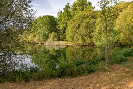 Villefond - Carp fishing in France - photo 18