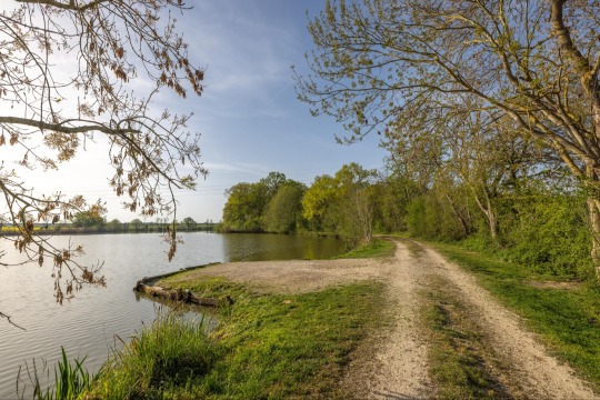 Jonchery - Proven Carp Fishing France - photo 8