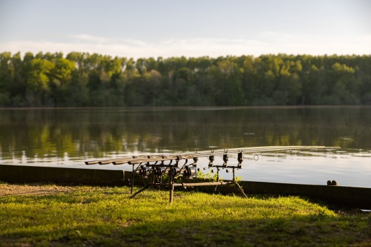 Brocard Large - Natural Carp Lake in France - photo 15
