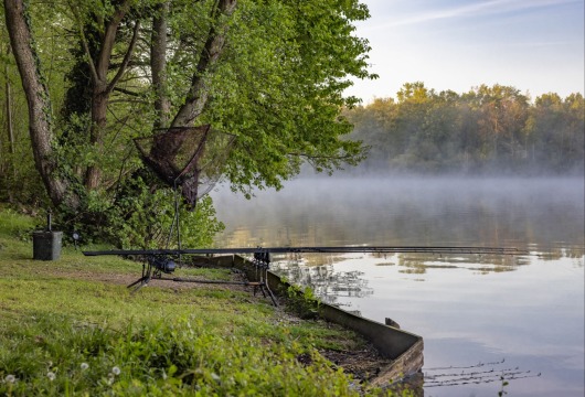 Brocard Large - Natural Carp Lake in France - photo 5