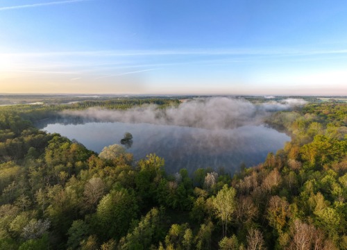 Brocard Large - Natural Carp Lake in France - photo 3