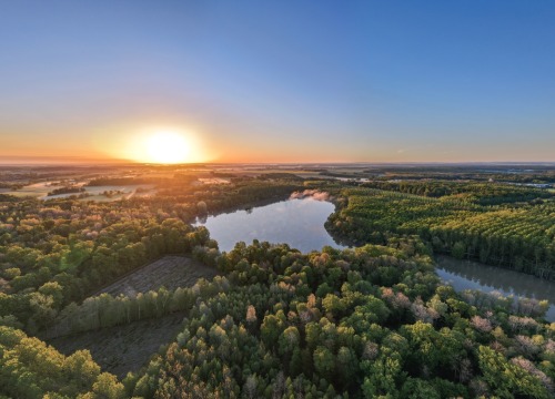 Brocard Large - Natural Carp Lake in France - photo 10