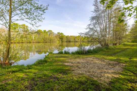Jonchery 7 - Small Exclusive Carp Lakes in France - photo 8