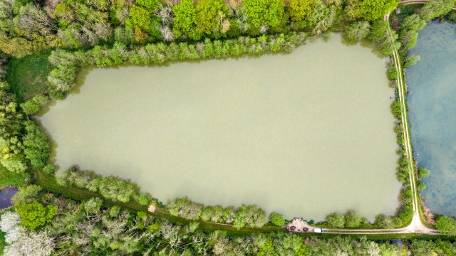 Jonchery 7 - Small Exclusive Carp Lakes in France - photo 5