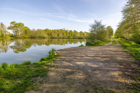 Jonchery 7 - Small Exclusive Carp Lakes in France - photo 10