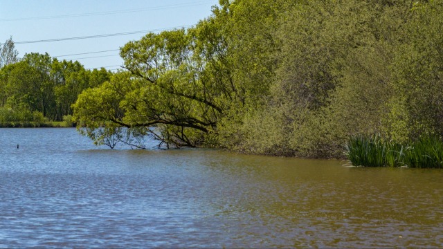 Brie - Exclusive Carp Fishing France - photo 11