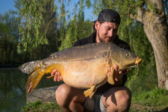 Eau De Vie South - Carp Fishing France with Unique Railway Cabin - photo 3
