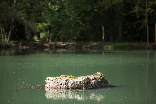 Eau De Vie South - Carp Fishing France with Unique Railway Cabin - photo 14