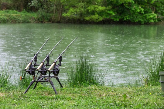 Eau De Vie South - Carp Fishing France with Unique Railway Cabin - photo 11