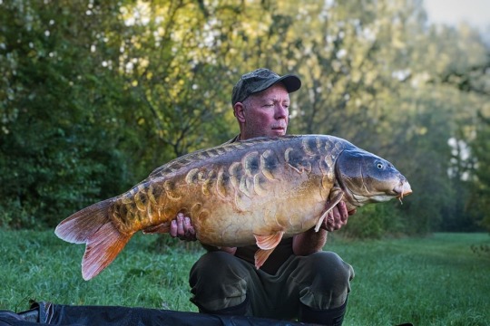 Evaro - Big Carp Fishing France - photo 8