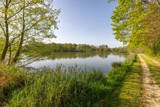 Jonchery 8 - Carp Lake in France - photo 3