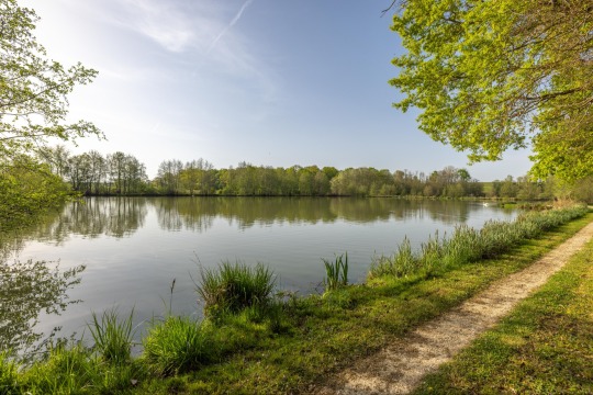 Jonchery 8 - Carp Lake in France - photo 5