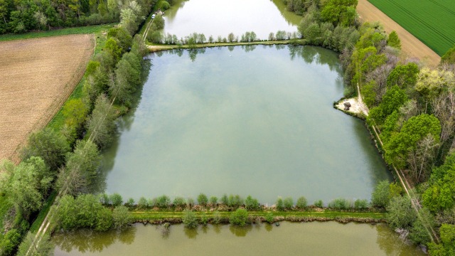 Jonchery 8 - Carp Lake in France - photo 6