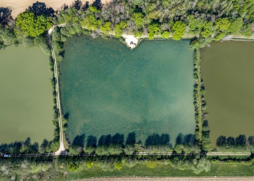 Jonchery 8 - Carp Lake in France - photo 1