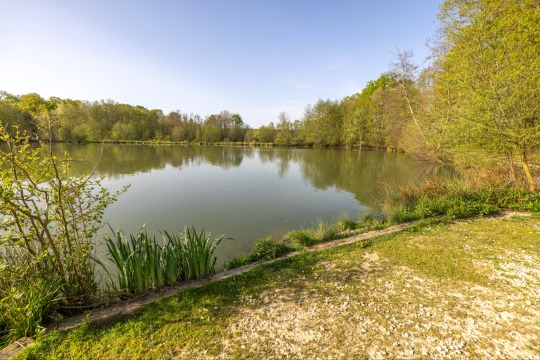 Jonchery 8 - Carp Lake in France - photo 12