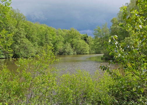 Bears Lake - Carp Fishing France with Accommodation - photo 8