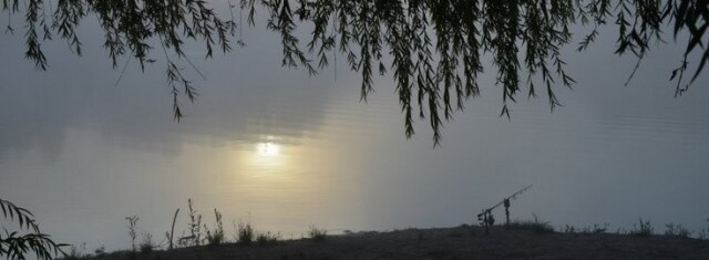 Beaurepaire - Carp lakes near Calais - photo 6