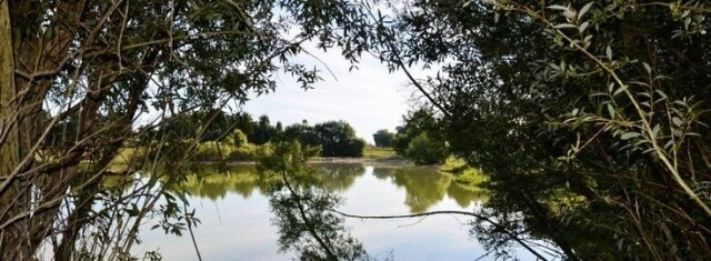 Beaurepaire - Carp lakes near Calais - photo 5
