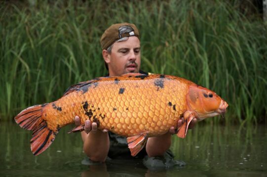 Boux - Exclusive carp fishing in France - photo 8