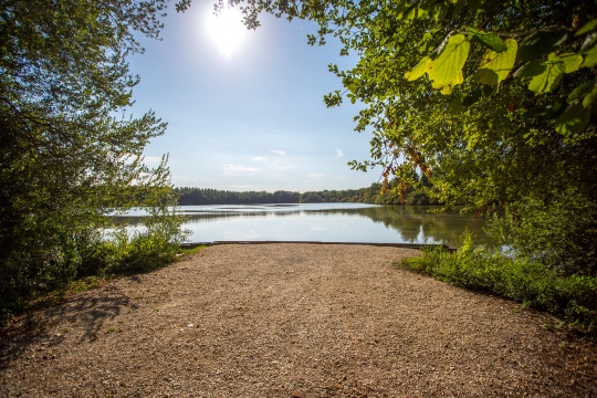 Brocard Large - Natural Carp Lake in France - photo 18
