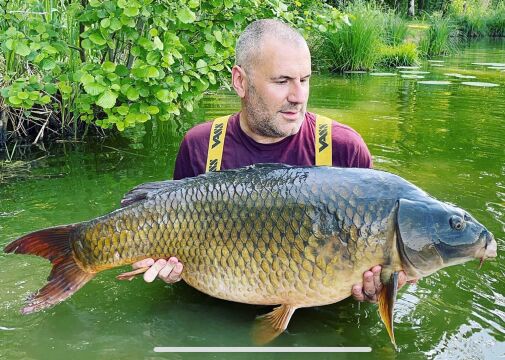 Cailleaux - Easy Carp Lake in France - photo 2