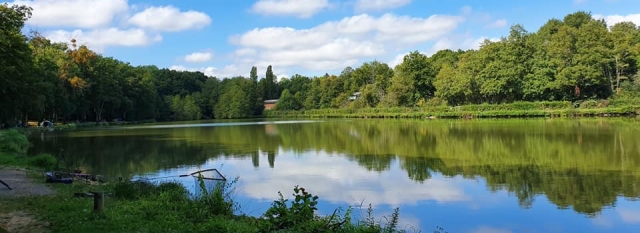 Cailleaux - Easy Carp Lake in France - photo 10