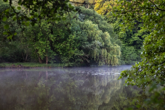 Carp House - Carp Fishing France with Lodge - photo 18