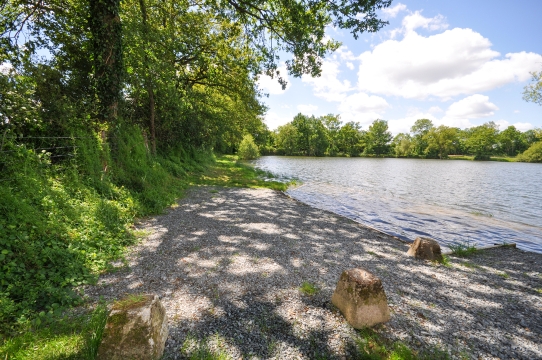 Carrouge - Social Carp Fishing Holidays - photo 13