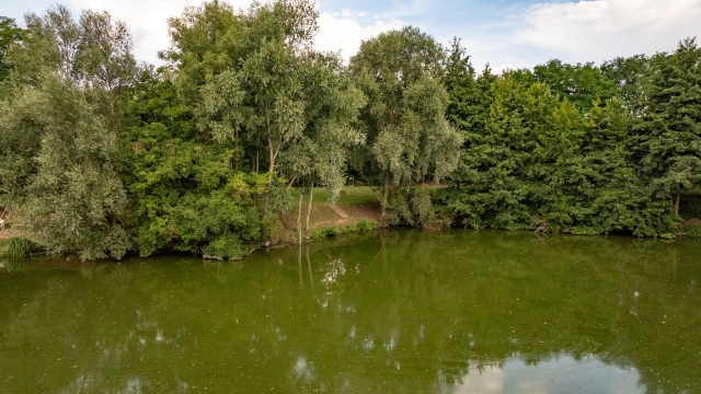 Cerises - Carp Lake Close to Calais - photo 15