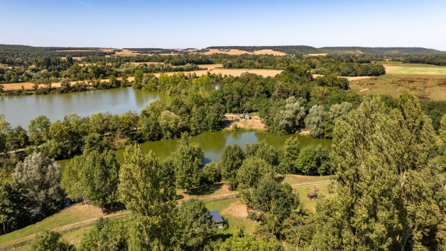 Cerises - Carp Lake Close to Calais - photo 9