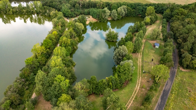 Cerises - Carp Lake Close to Calais - photo 3