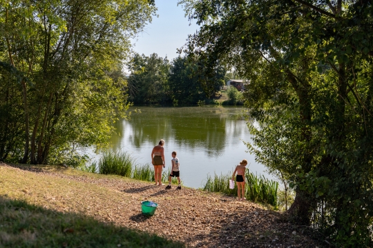 Cerises - Carp Lake Close to Calais - photo 8