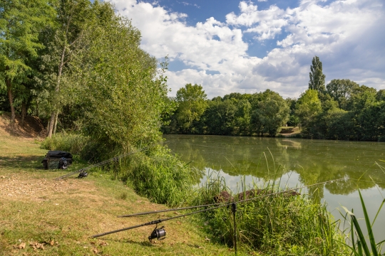 Cerises - Carp Lake Close to Calais - photo 4