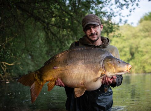 Emeraude - Big Carp in France - photo 6