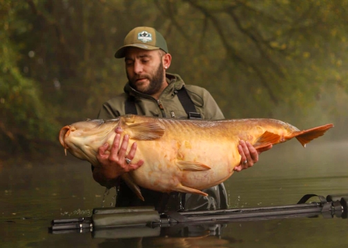 Emeraude - Big Carp in France - photo 8