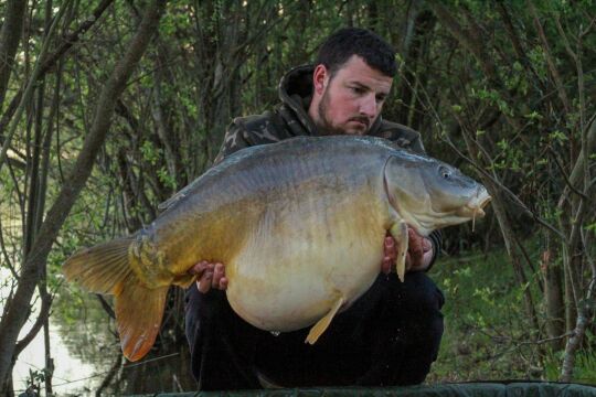 Emeraude - Big Carp in France - photo 15