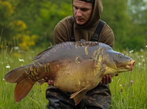 Emeraude - Big Carp in France - photo 10