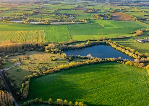 Emeraude - Big Carp in France - photo 5