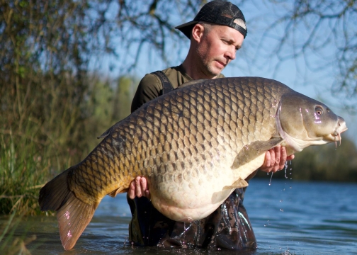 Emeraude - Big Carp in France - photo 1