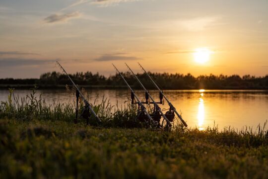 Fullys Lake - Unique Big Carp Fishing in France - photo 9