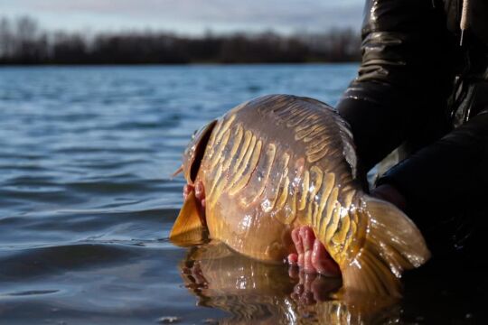 Fullys Lake - Unique Big Carp Fishing in France - photo 15
